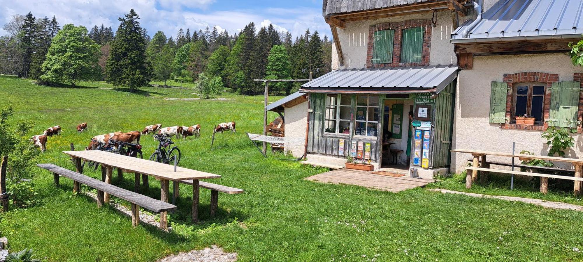 Hotel La Petite Echelle à Rochejean Extérieur photo